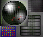 ư�赭Ͽ���եȥ�����AZP9100